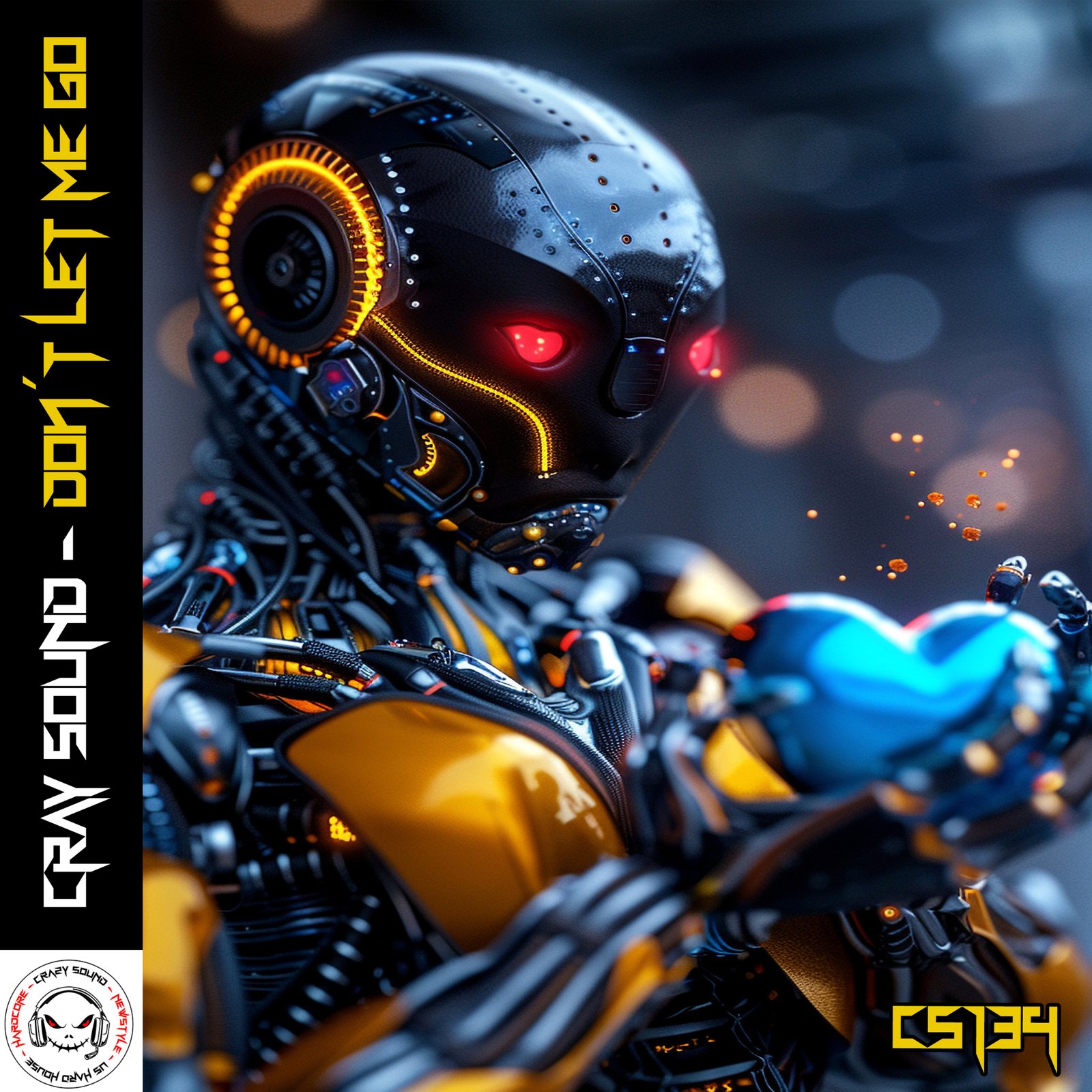 CRAZY SOUND - Don´t Let Me Go